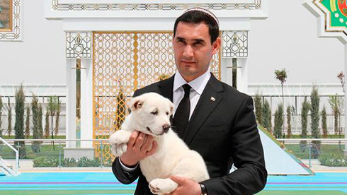 Президент Туркменистана ограничил вывоз алабаев из страны