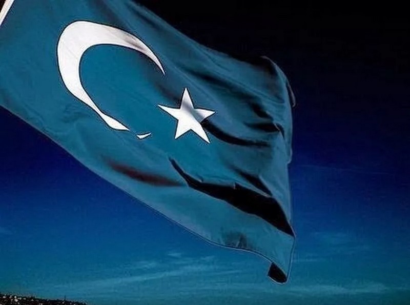 Флаг Восточного Туркестана над туркомплексом