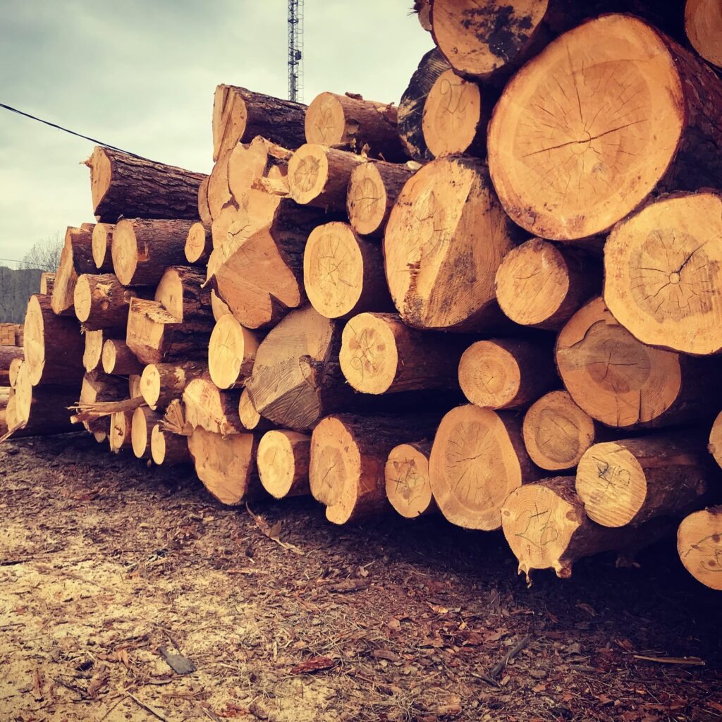 Республики ЦАР наращивают импорт древесины из Хакасии