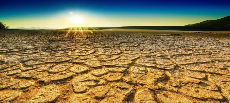 Туркменистану грозит серьёзная засуха