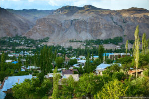 В Таджикистане начата кампания по восстановлению леса