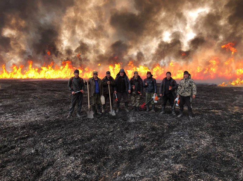 В Монголии бушуют степные пожары
