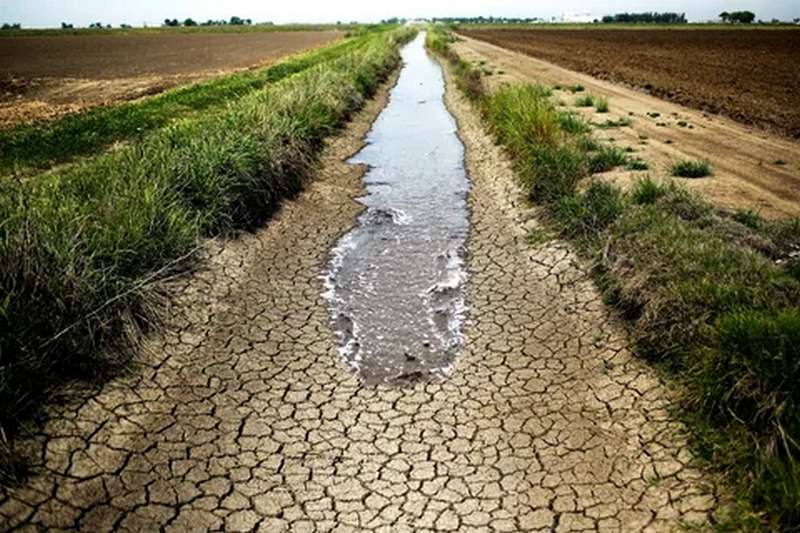 О продовольственной безопасности дефиците воды в Узбекистане