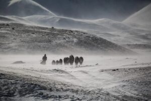 В Монголии – чрезвычайная ситуация