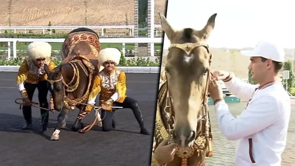 День народного искусства и туркменского скакуна