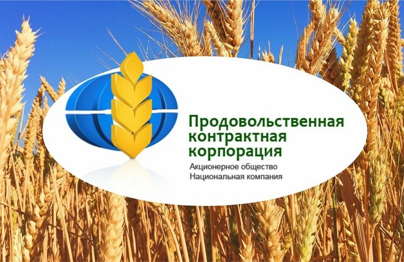 Казахстан формирует резервные запасы продовольствия