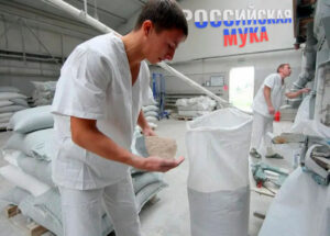 ​​Кыргызстан и Узбекистан переключаются на закуп российской пшеницы