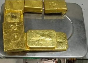 Пресечена попытка контрабанды золота