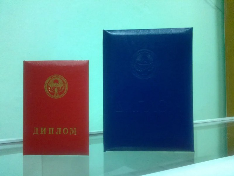 Республики ЦАР объявили о взаимном признании дипломов о высшем образовании